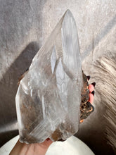 Load image into Gallery viewer, Naica Selenite with Enhydros K (XL)