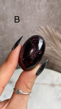 Load image into Gallery viewer, Garnet Shivas