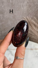 Load image into Gallery viewer, Garnet Shivas