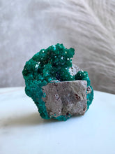 Load image into Gallery viewer, High Grade Dioptase Specimen L