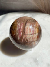 Load image into Gallery viewer, Petrified Wood Sphere H