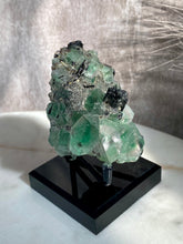 Load image into Gallery viewer, Erongo Fluorite, Lollipop Pocket AA