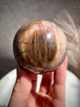 Load image into Gallery viewer, Petrified Wood Sphere H