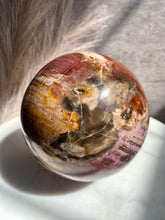 Load image into Gallery viewer, Petrified Wood Sphere Z (XL)