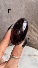 Load image into Gallery viewer, Garnet Shivas