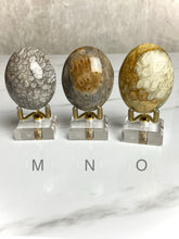 Load image into Gallery viewer, Fossilized Coral Palm Stones