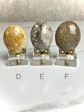 Load image into Gallery viewer, Fossilized Coral Palm Stones