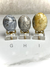 Load image into Gallery viewer, Fossilized Coral Palm Stones