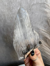 Load image into Gallery viewer, Naica Selenite with Enhydros H (Large)