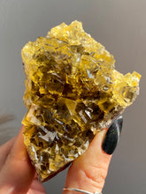 Load image into Gallery viewer, Okorusu Fluorite H