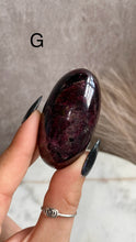 Load image into Gallery viewer, Garnet Shivas