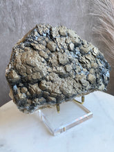 Load image into Gallery viewer, Black Pagoda Calcite with Pyrite (XL)