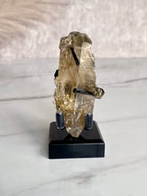 Load image into Gallery viewer, The Mineral Stand ™ - Midnight Edition - Size 1