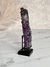 Load image into Gallery viewer, The Mineral Stand ™ - Midnight Edition - Size 2
