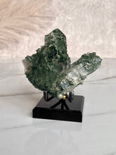 Load image into Gallery viewer, The Mineral Stand ™ - Midnight Edition - Size 3