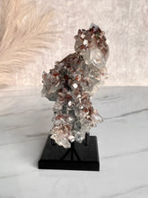 Load image into Gallery viewer, The Mineral Stand ™ - Midnight Edition - Size 5
