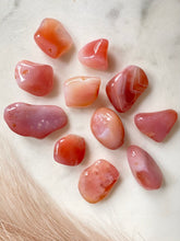 Load image into Gallery viewer, Apricot Agate Tumble Set - Jellies