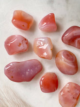Load image into Gallery viewer, Apricot Agate Tumble Set - Jellies