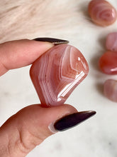 Load image into Gallery viewer, Apricot Agate Tumble Set - Jellies