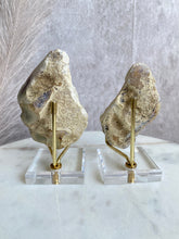 Load image into Gallery viewer, Royal Imperial Jasper Pair (full nodule)