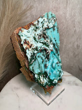 Load image into Gallery viewer, Chrysocolla after Malachite Pseudomorph L (XL)