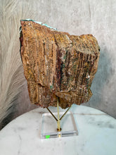 Load image into Gallery viewer, Chrysocolla after Malachite Pseudomorph L (XL)