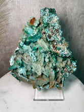Load image into Gallery viewer, Chrysocolla after Malachite Pseudomorph K (XL)