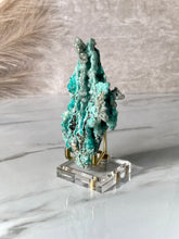 Load image into Gallery viewer, The Mineral Stand ™ - Original Edition - Size 3