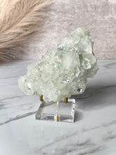 Load image into Gallery viewer, The Mineral Stand ™ - Original Edition - Size 4