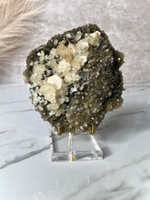 Load image into Gallery viewer, The Mineral Stand ™ - Original Edition - Size 4