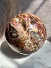Load image into Gallery viewer, petrified wood sphere, extra large petrified wood, polished petrified wood, large crystal sphere