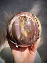 Load image into Gallery viewer, Petrified Wood Sphere Y (XL)
