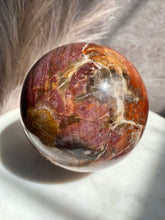 Load image into Gallery viewer, Petrified Wood Sphere Z (XL)

