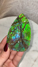 Load image into Gallery viewer, Ammolite Specimen X
