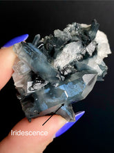 Load image into Gallery viewer, Blue Tara Quartz Specimen BB
