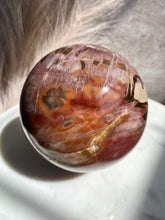 Load image into Gallery viewer, Petrified Wood Sphere Y (XL)
