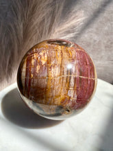 Load image into Gallery viewer, Petrified Wood Sphere Z (XL)
