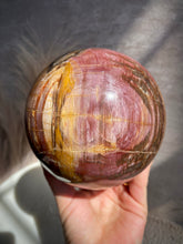 Load image into Gallery viewer, Petrified Wood Sphere Z (XL)
