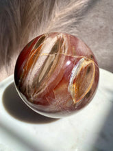 Load image into Gallery viewer, Petrified Wood Sphere Y (XL)
