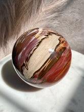 Load image into Gallery viewer, Petrified Wood Sphere Y (XL)
