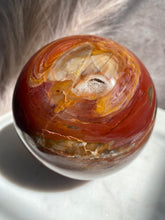 Load image into Gallery viewer, Petrified Wood Sphere Y (XL)
