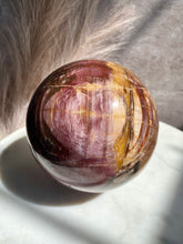Load image into Gallery viewer, Petrified Wood Sphere Z (XL)
