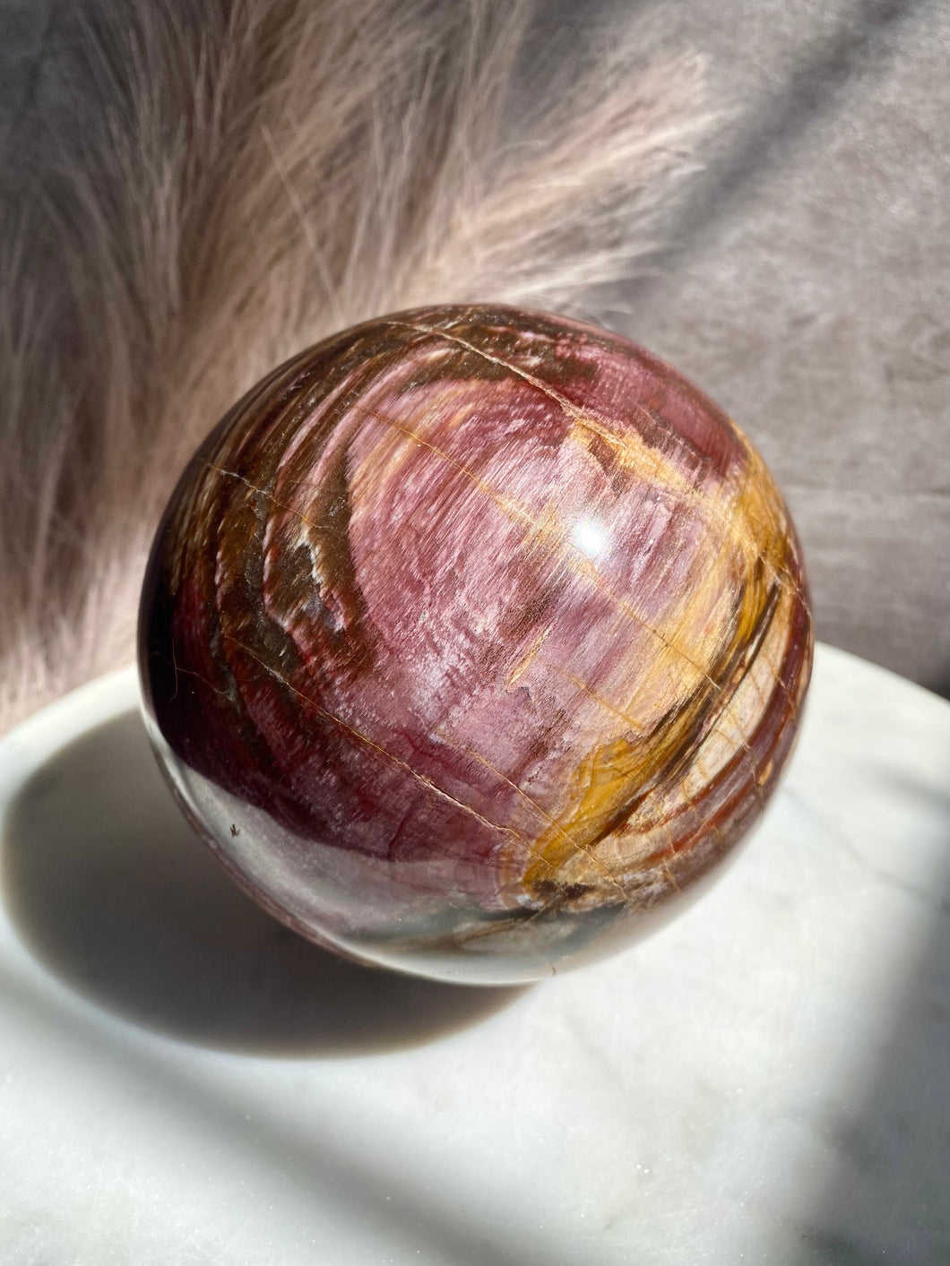 Petrified Wood Sphere Z (XL)
