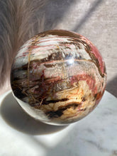 Load image into Gallery viewer, Petrified Wood Sphere BB (XXL)

