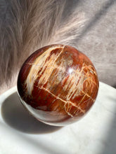 Load image into Gallery viewer, Petrified Wood Sphere Z (XL)
