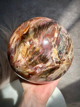 Load image into Gallery viewer, Petrified Wood Sphere BB (XXL)

