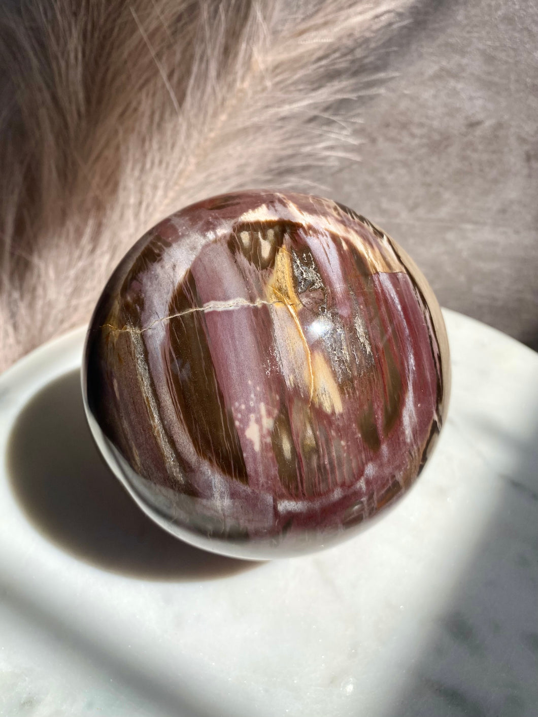 Petrified Wood Sphere Y (XL)