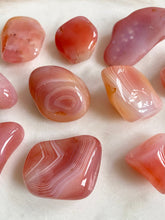 Load image into Gallery viewer, Apricot Agate Tumble Set - Jellies
