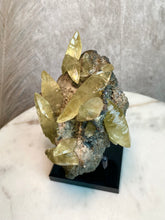 Load image into Gallery viewer, yellow calcite crystals with pyrite from the sweetwater mine
