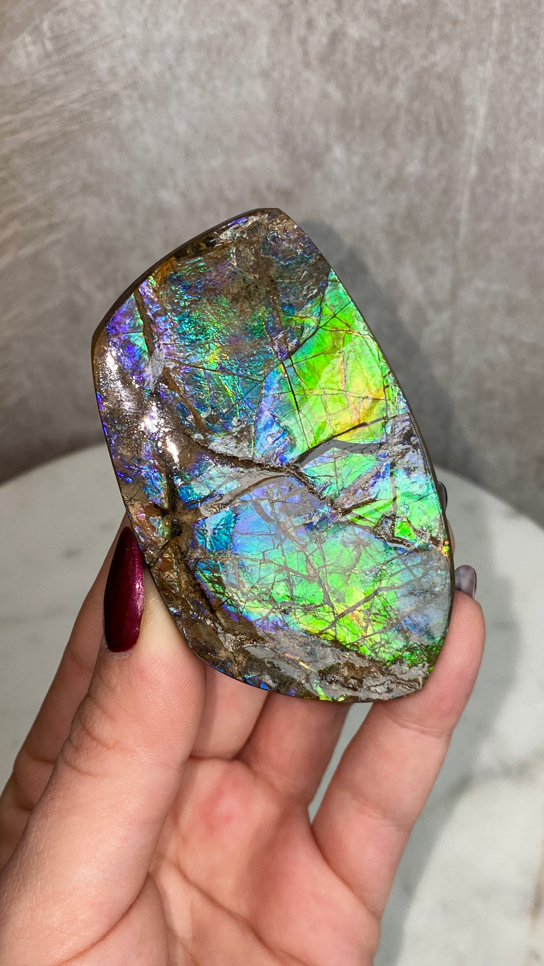 Ammolite Specimen B